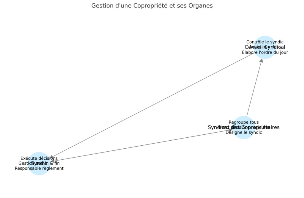 Les organes de gestion : syndic, conseil syndical et syndicat